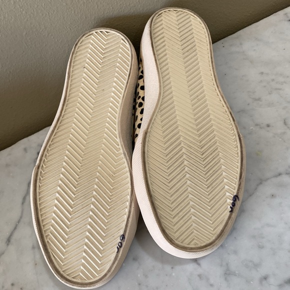 Clear by Dolce vita designer - Picture 6 of 8